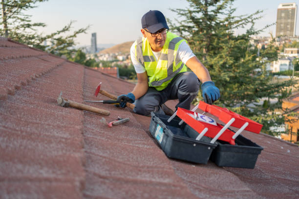 Best Shed Removal  in Moline, IL